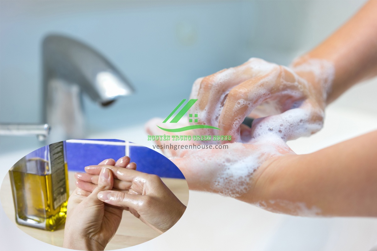 Đối với trường hợp keo bẫy chuột dính vào tay, bạn có thể dùng dầu ăn để tẩy, sau đó rửa sạch lại với xà phòng