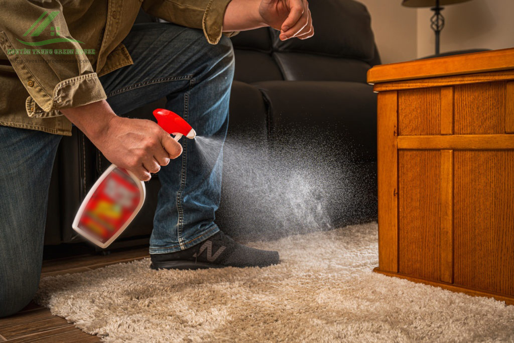 Một số lưu ý khi sử dụng thảm để tránh vi khuẩn và mùi hôi