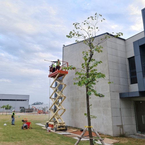 Dịch vụ vệ sinh vách tôn, Panel nhà xưởng Bình Phước Dịch vụ vệ sinh vách tôn, Panel nhà xưởng Bình Phước