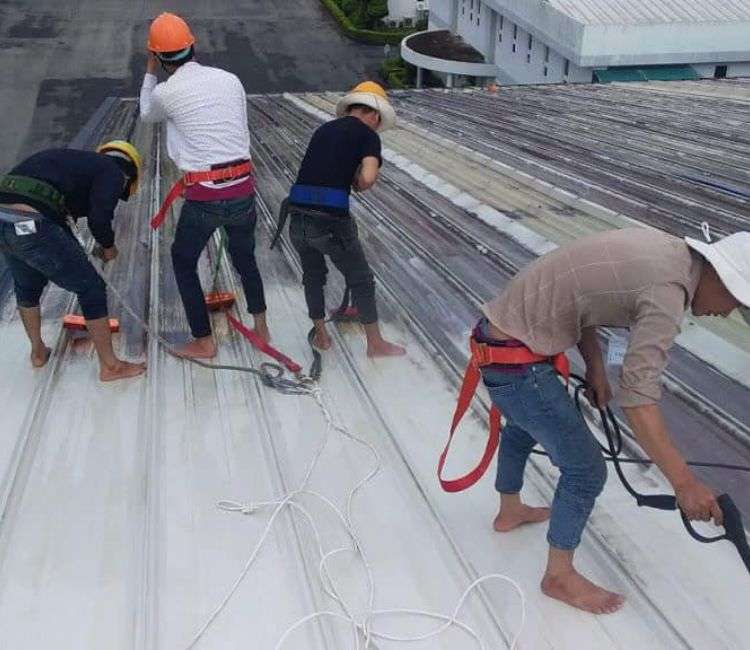 Nâng cao tuổi thọ mái tôn nhà xưởng qua vệ sinh chuyên nghiệp