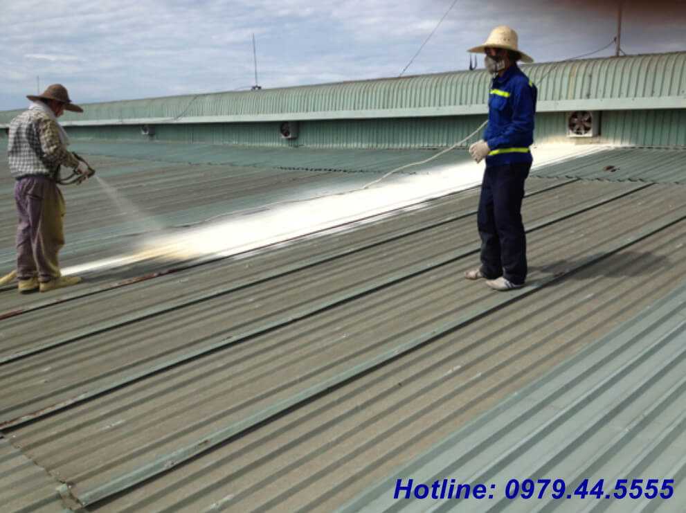 Bảo trì mái tôn hiệu quả qua vệ sinh định kỳ